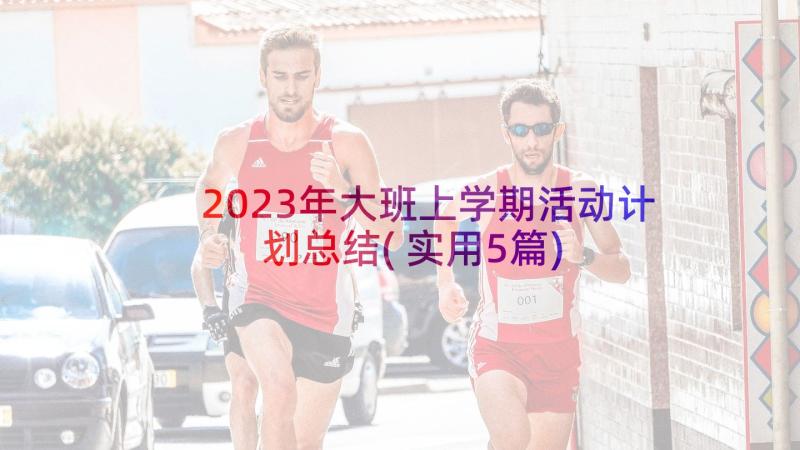 2023年大班上学期活动计划总结(实用5篇)