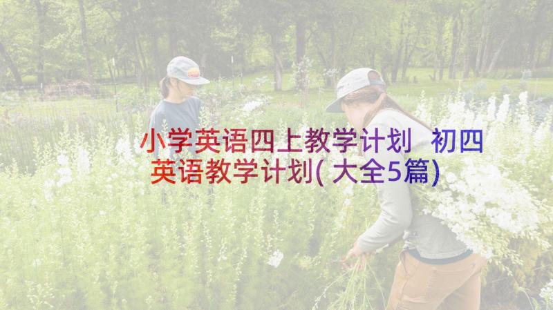 小学英语四上教学计划 初四英语教学计划(大全5篇)