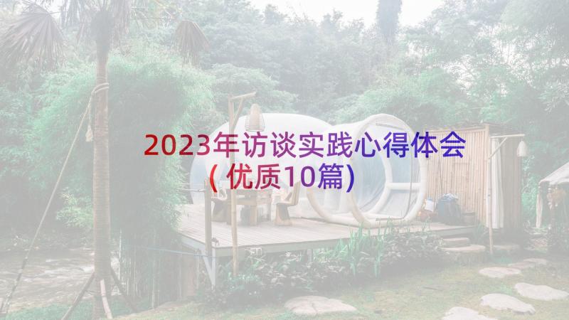 2023年访谈实践心得体会(优质10篇)