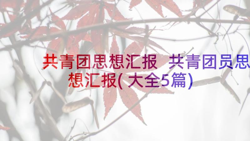 共青团思想汇报 共青团员思想汇报(大全5篇)