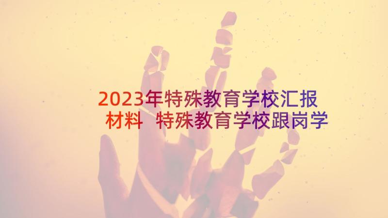 2023年特殊教育学校汇报材料 特殊教育学校跟岗学习个人总结(通用8篇)