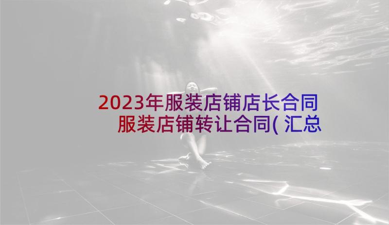 2023年服装店铺店长合同 服装店铺转让合同(汇总5篇)