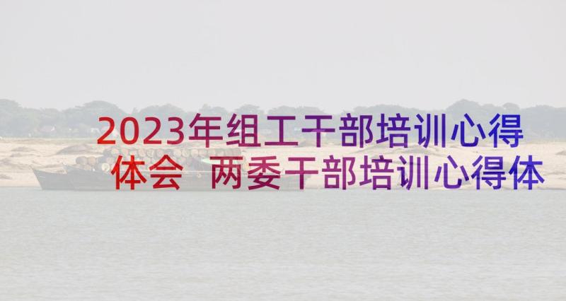 2023年组工干部培训心得体会 两委干部培训心得体会(汇总9篇)