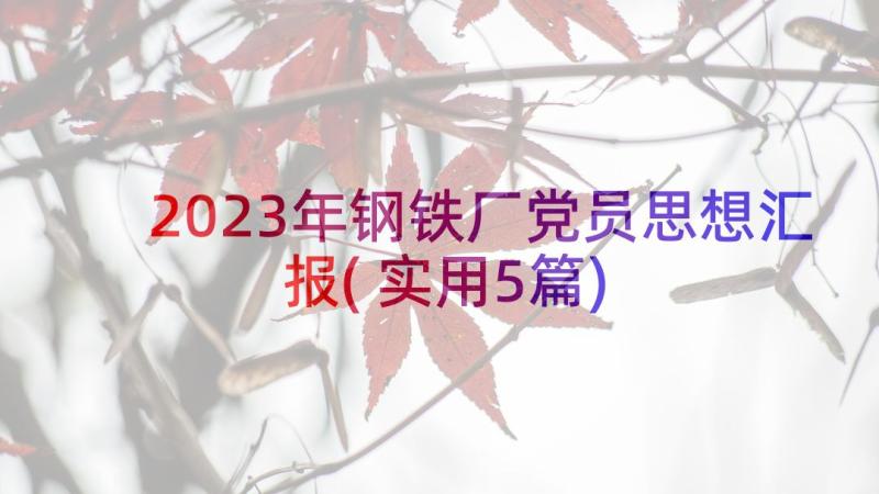 2023年钢铁厂党员思想汇报(实用5篇)