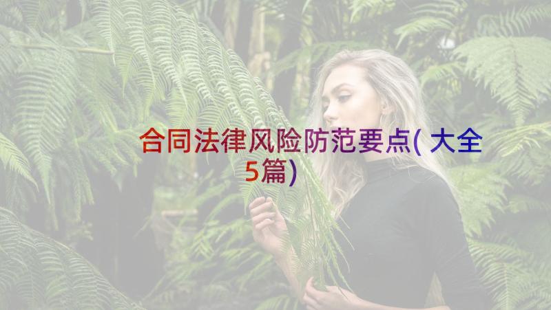 合同法律风险防范要点(大全5篇)