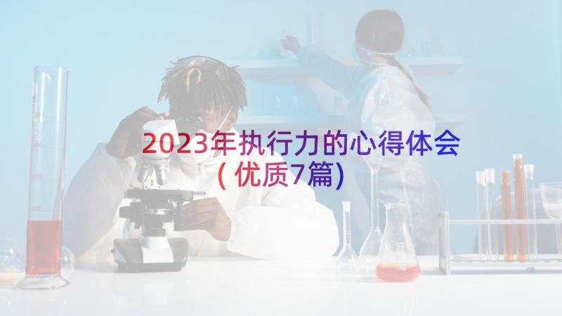 2023年执行力的心得体会(优质7篇)