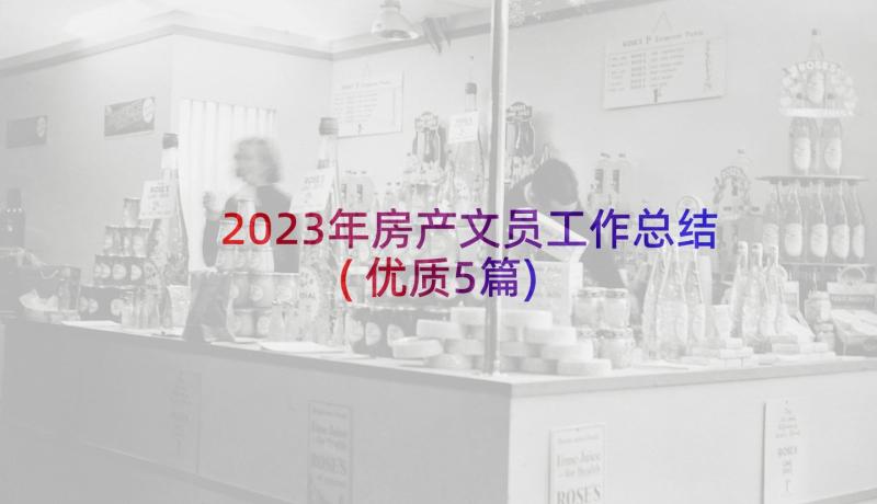 2023年房产文员工作总结(优质5篇)