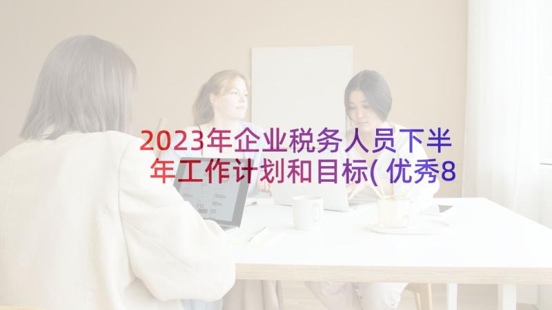 2023年企业税务人员下半年工作计划和目标(优秀8篇)