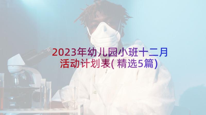 2023年幼儿园小班十二月活动计划表(精选5篇)