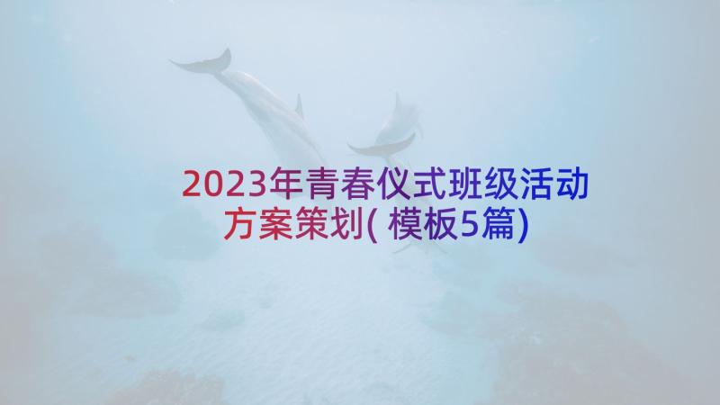 2023年青春仪式班级活动方案策划(模板5篇)
