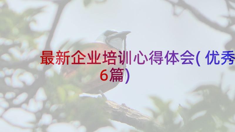 最新企业培训心得体会(优秀6篇)