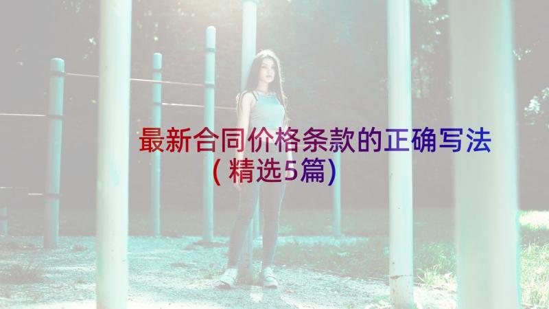 最新合同价格条款的正确写法(精选5篇)