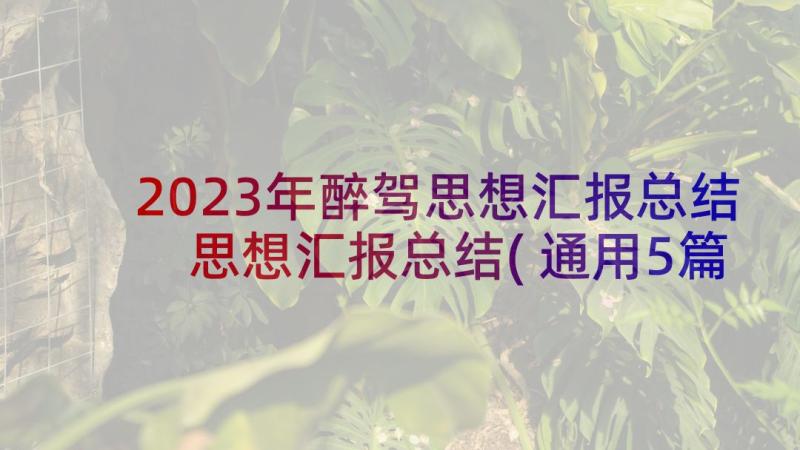 2023年醉驾思想汇报总结 思想汇报总结(通用5篇)