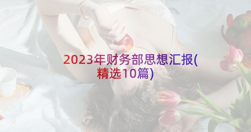 2023年财务部思想汇报(精选10篇)