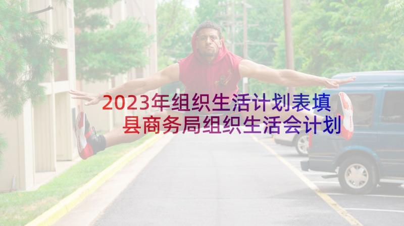 2023年组织生活计划表填 县商务局组织生活会计划(汇总5篇)