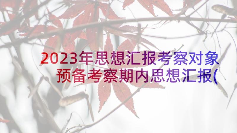 2023年思想汇报考察对象 预备考察期内思想汇报(优秀8篇)