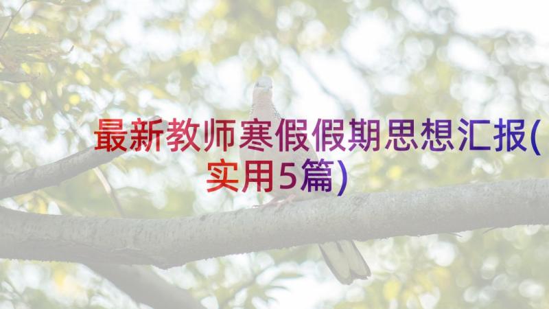 最新教师寒假假期思想汇报(实用5篇)