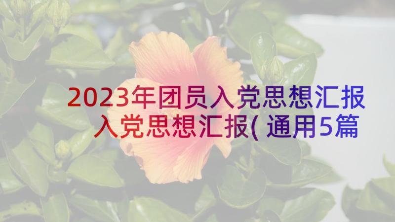 2023年团员入党思想汇报 入党思想汇报(通用5篇)