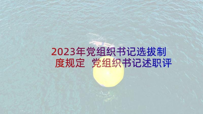 2023年党组织书记选拔制度规定 党组织书记述职评价制度(模板5篇)