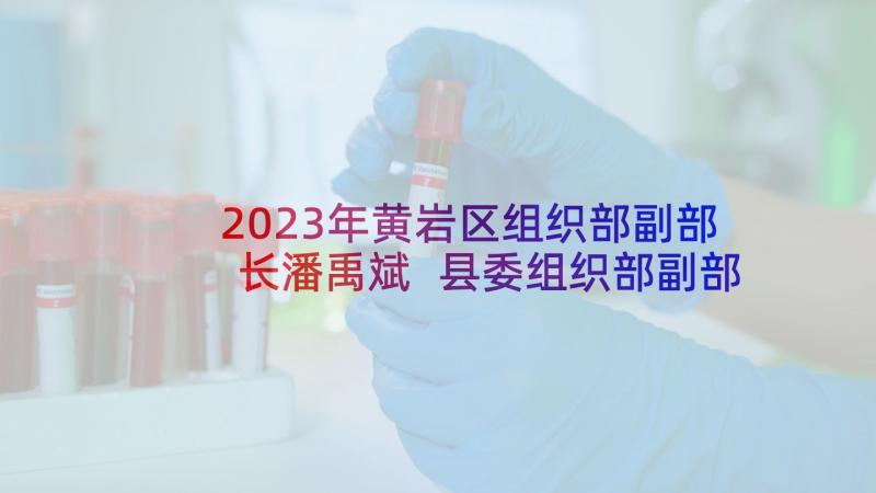 2023年黄岩区组织部副部长潘禹斌 县委组织部副部长心得体会(实用7篇)