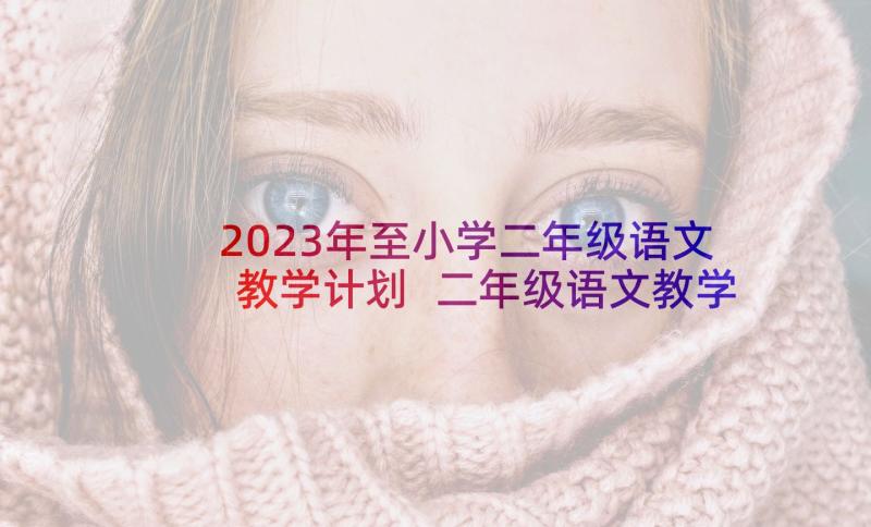 2023年至小学二年级语文教学计划 二年级语文教学计划(汇总5篇)