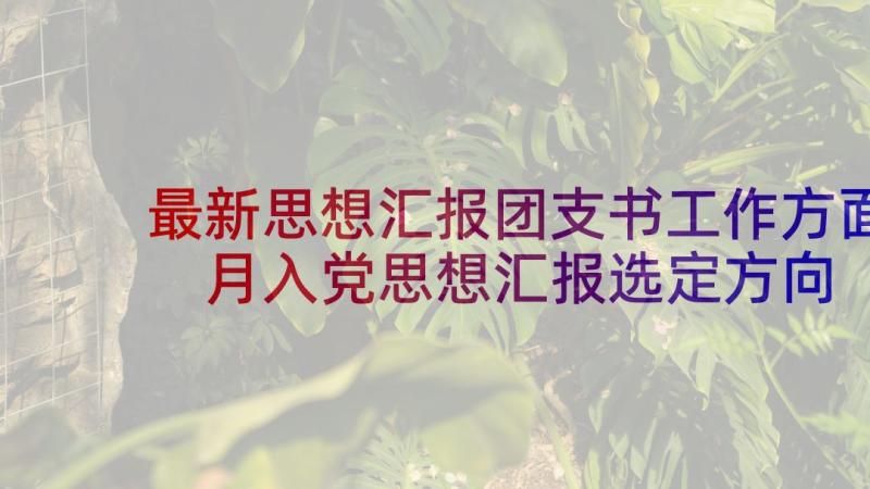 最新思想汇报团支书工作方面 月入党思想汇报选定方向坚定理想(通用5篇)