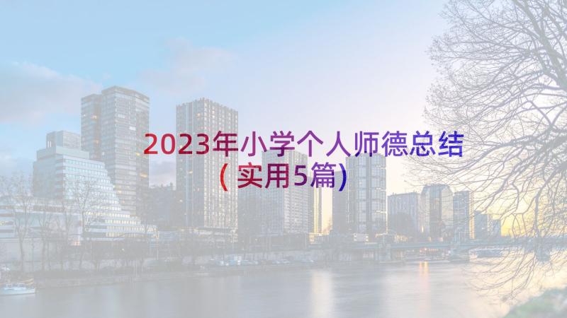 2023年小学个人师德总结(实用5篇)