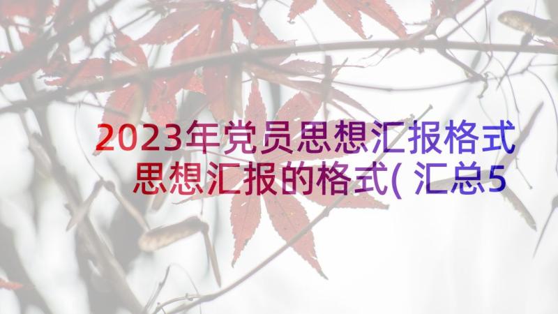 2023年党员思想汇报格式 思想汇报的格式(汇总5篇)