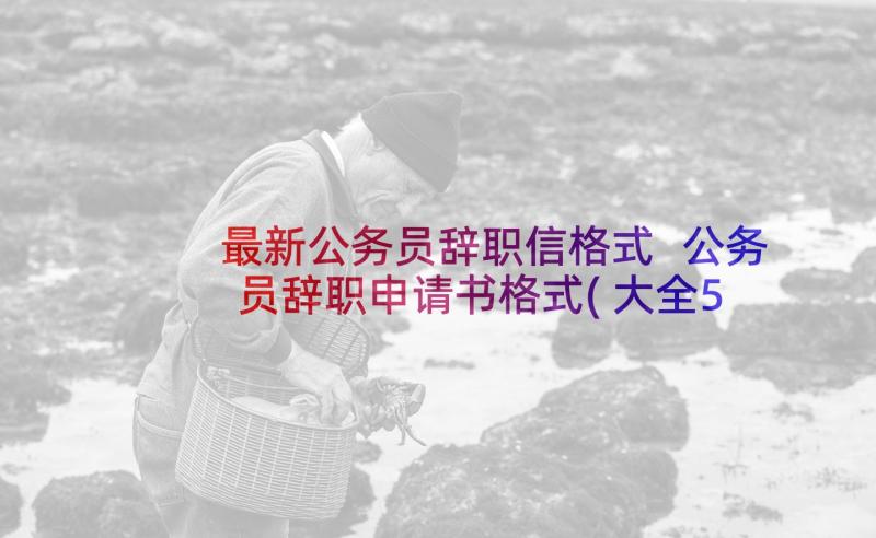 最新公务员辞职信格式 公务员辞职申请书格式(大全5篇)