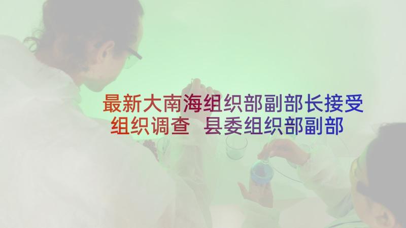 最新大南海组织部副部长接受组织调查 县委组织部副部长心得体会(实用7篇)