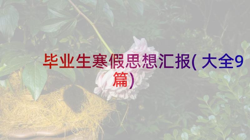 毕业生寒假思想汇报(大全9篇)