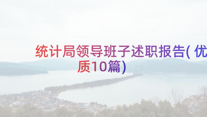 统计局领导班子述职报告(优质10篇)