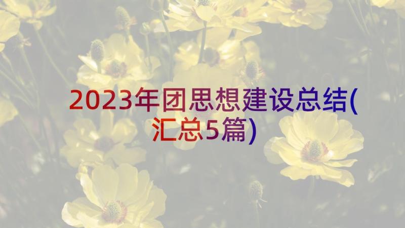 2023年团思想建设总结(汇总5篇)