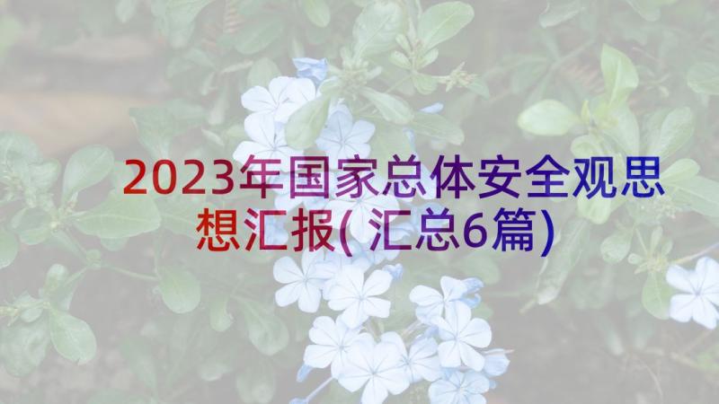 2023年国家总体安全观思想汇报(汇总6篇)