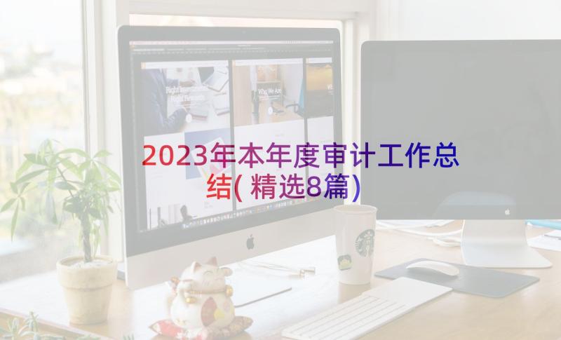 2023年本年度审计工作总结(精选8篇)