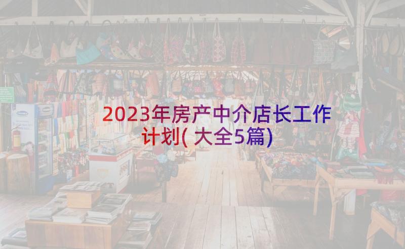 2023年房产中介店长工作计划(大全5篇)