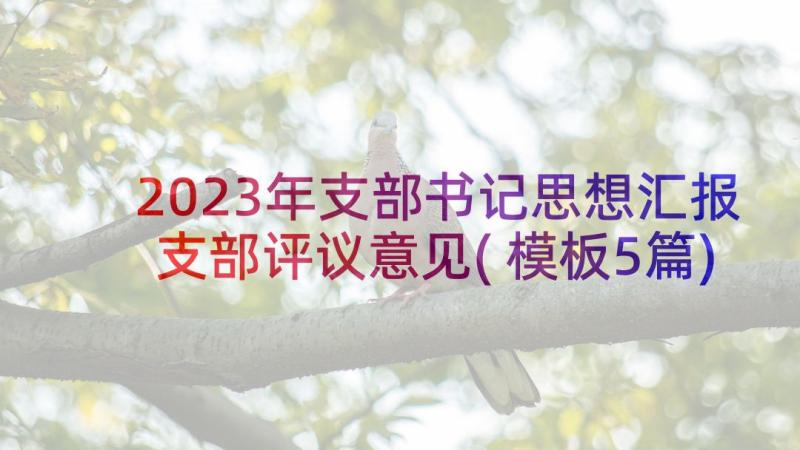 2023年支部书记思想汇报支部评议意见(模板5篇)