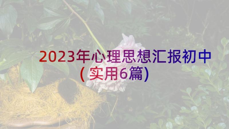 2023年心理思想汇报初中(实用6篇)