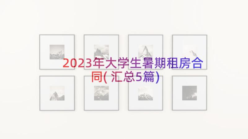 2023年大学生暑期租房合同(汇总5篇)