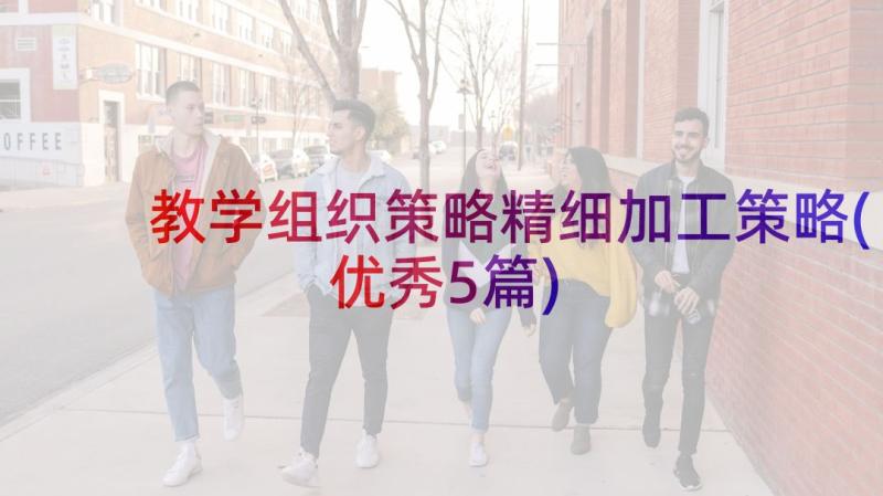 教学组织策略精细加工策略(优秀5篇)