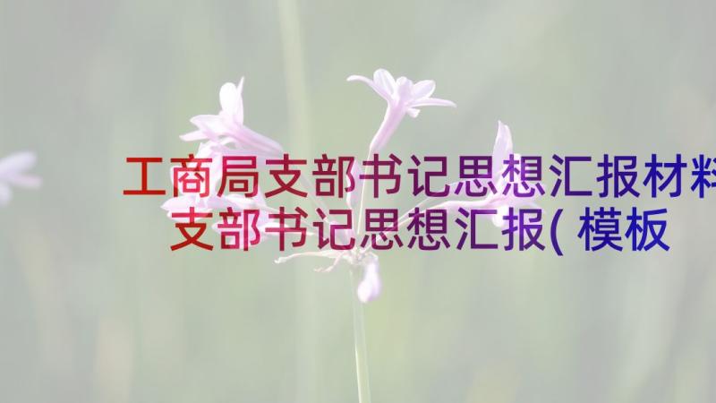 工商局支部书记思想汇报材料 支部书记思想汇报(模板5篇)