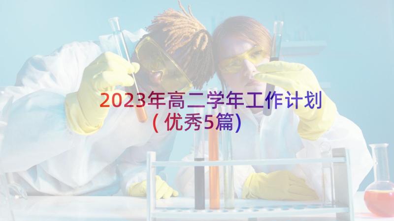 2023年高二学年工作计划(优秀5篇)