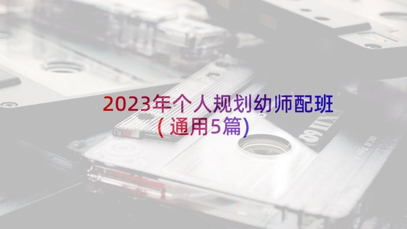 2023年个人规划幼师配班(通用5篇)