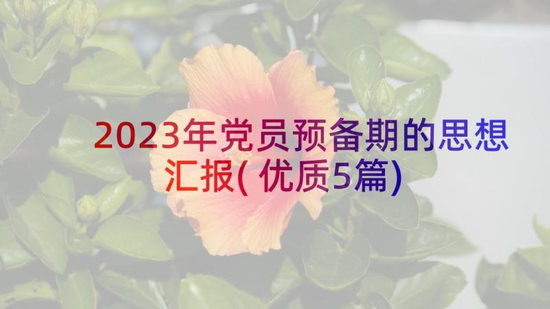 2023年党员预备期的思想汇报(优质5篇)