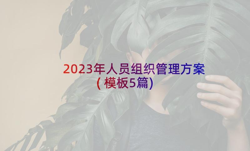 2023年人员组织管理方案(模板5篇)