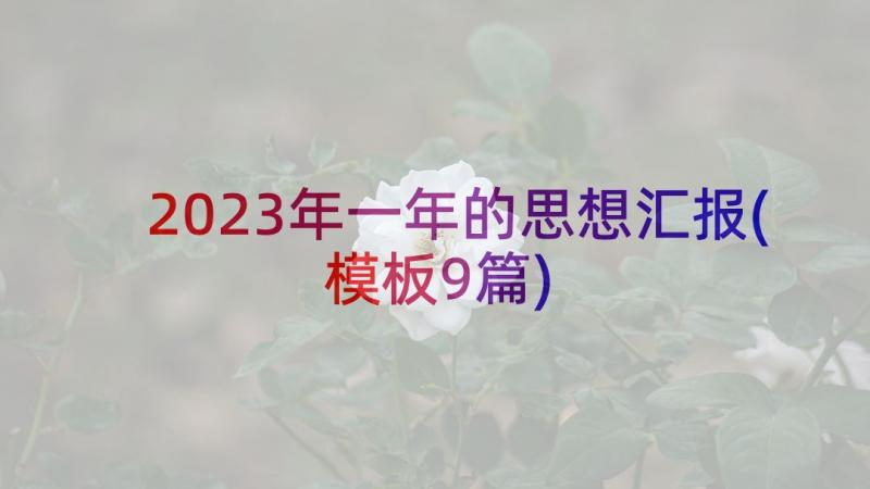 2023年一年的思想汇报(模板9篇)