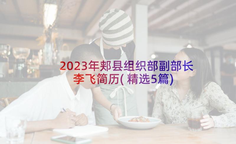 2023年郏县组织部副部长李飞简历(精选5篇)