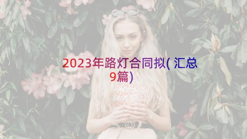 2023年路灯合同拟(汇总9篇)