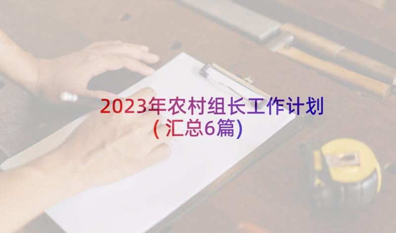 2023年农村组长工作计划(汇总6篇)