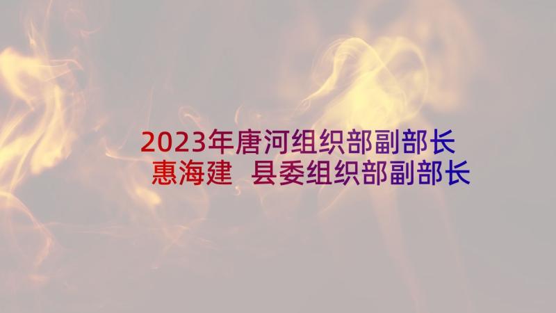 2023年唐河组织部副部长惠海建 县委组织部副部长心得体会(优秀5篇)